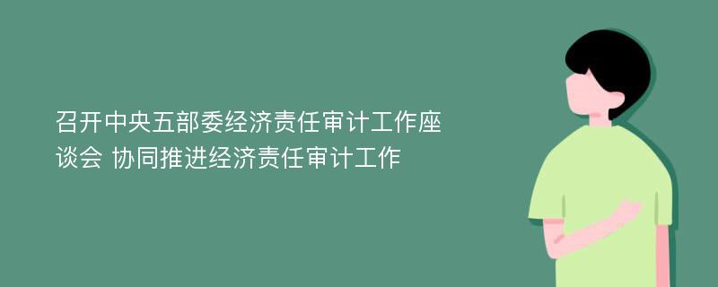 召开中央五部委经济责任审计工作座谈会 协同推进经济责任审计工作