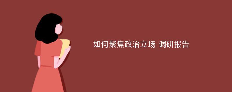 如何聚焦政治立场 调研报告