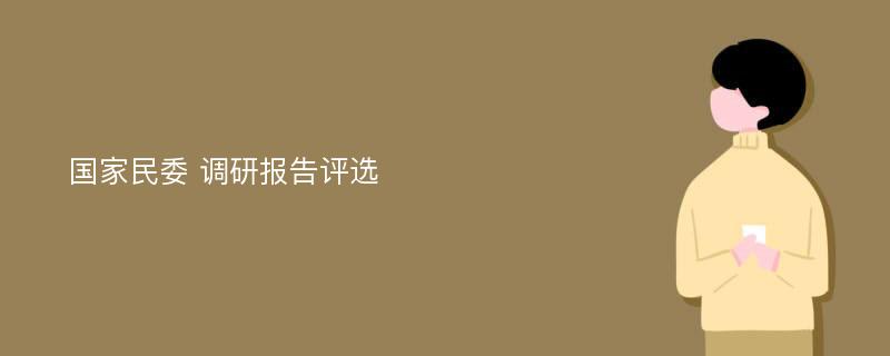 国家民委 调研报告评选