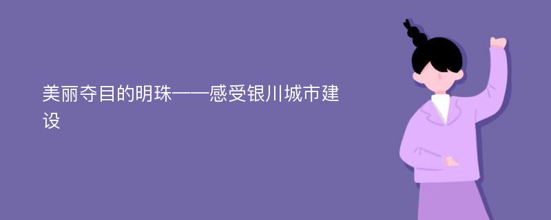 美丽夺目的明珠——感受银川城市建设