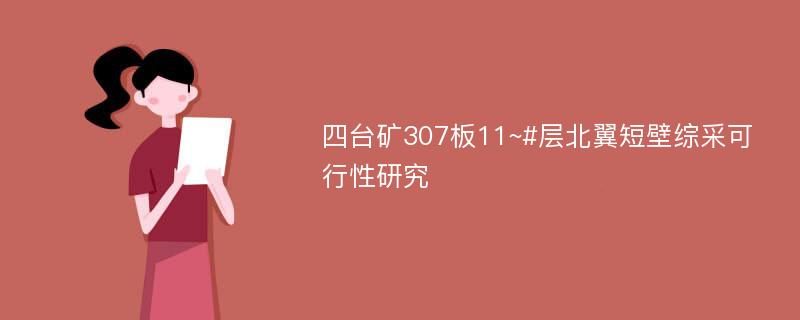 四台矿307板11~#层北翼短壁综采可行性研究