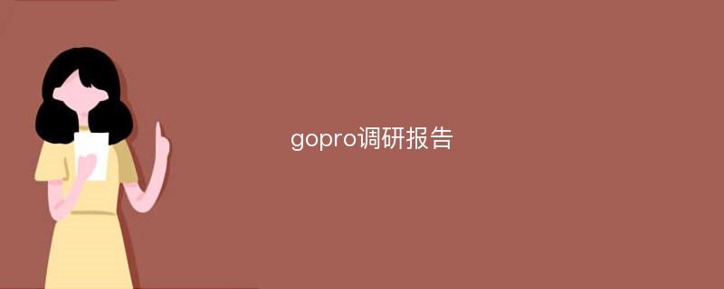 gopro调研报告