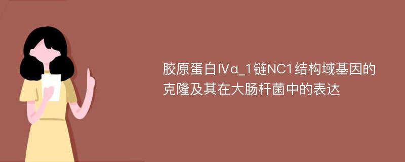 胶原蛋白Ⅳα_1链NC1结构域基因的克隆及其在大肠杆菌中的表达