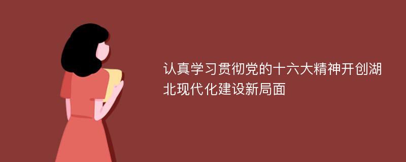 认真学习贯彻党的十六大精神开创湖北现代化建设新局面