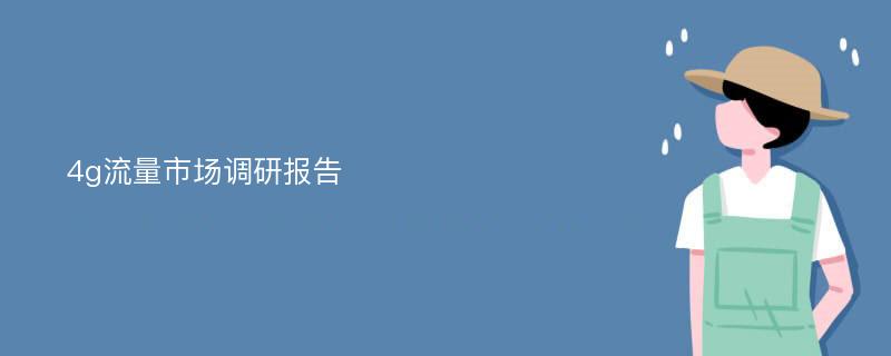 4g流量市场调研报告