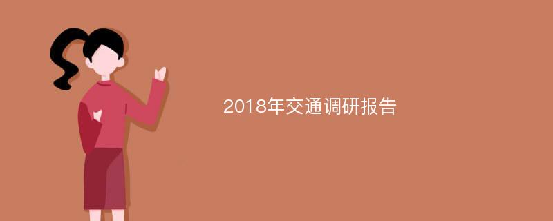 2018年交通调研报告