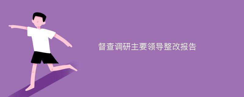 督查调研主要领导整改报告