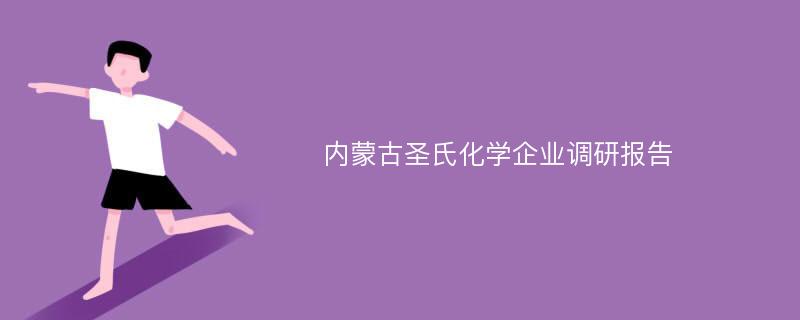 内蒙古圣氏化学企业调研报告