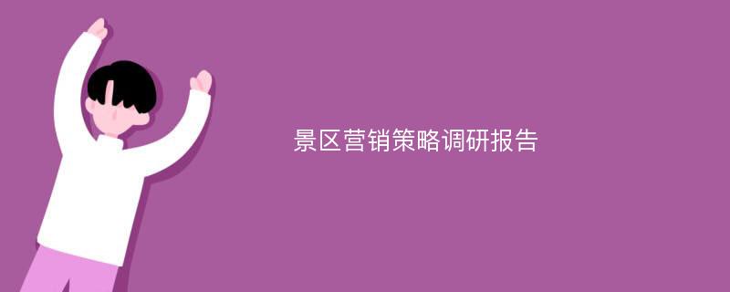 景区营销策略调研报告