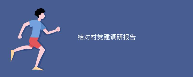 结对村党建调研报告