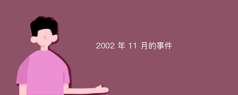 2002 年 11 月的事件