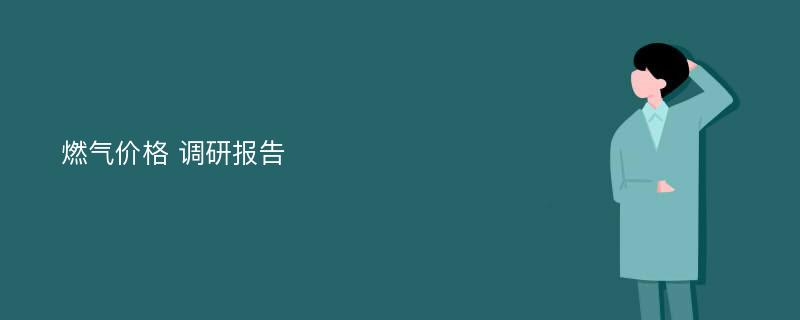 燃气价格 调研报告