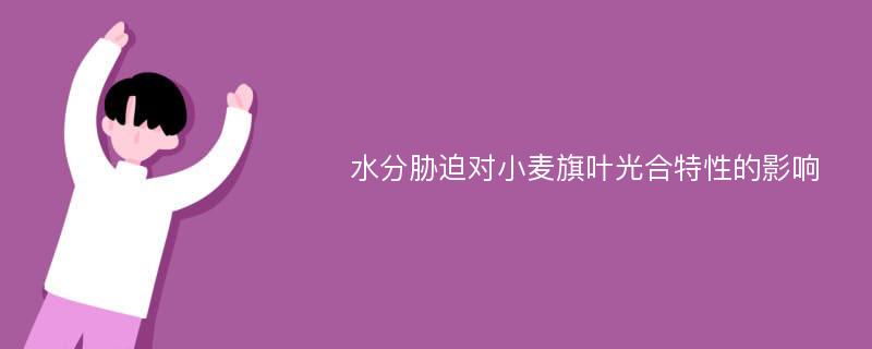 水分胁迫对小麦旗叶光合特性的影响