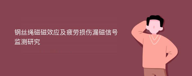 钢丝绳磁磁效应及疲劳损伤漏磁信号监测研究