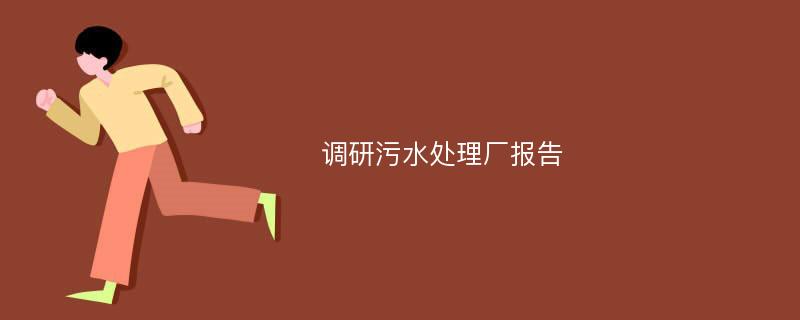 调研污水处理厂报告