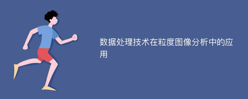 数据处理技术在粒度图像分析中的应用