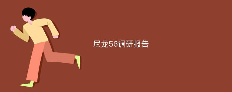 尼龙56调研报告