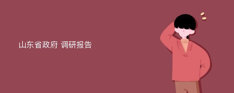 山东省政府 调研报告