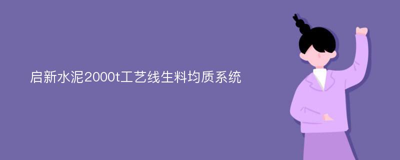 启新水泥2000t工艺线生料均质系统